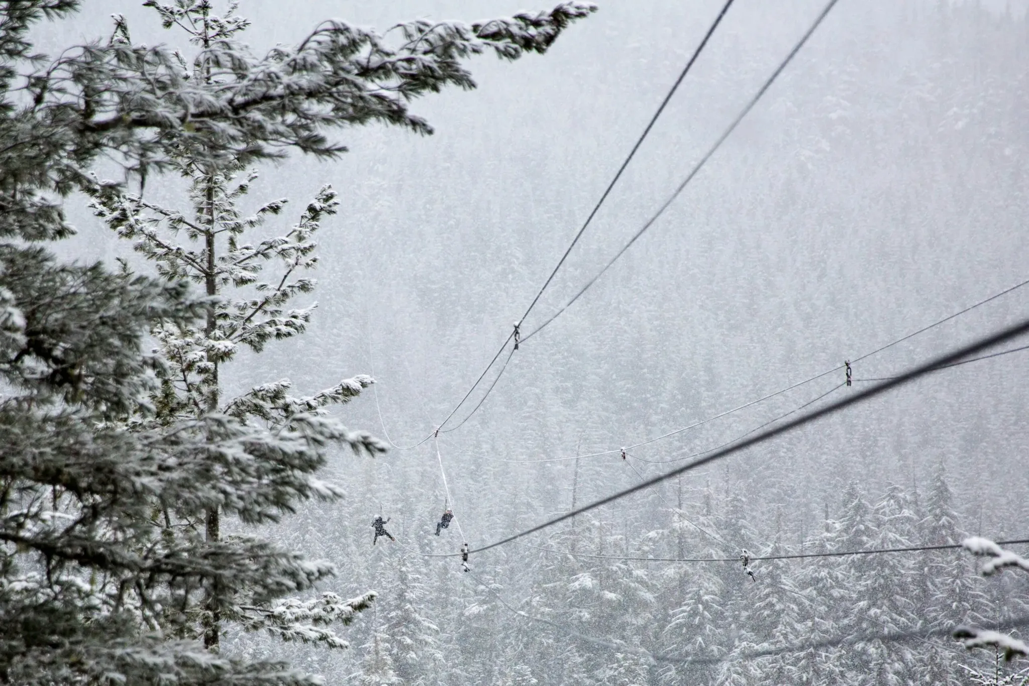 Guests on a zipline tour over the mountains near Breckenridge, Colorado.